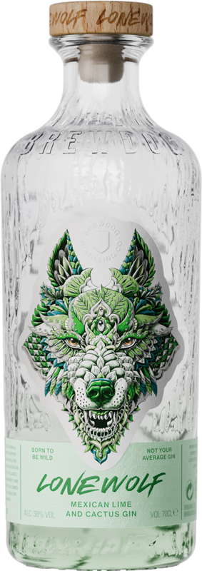 Mexican Lime and Cactus Photo